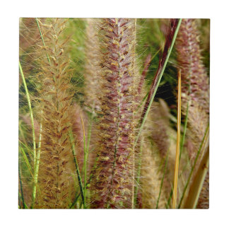 Foxtail grass macro photography picture tile