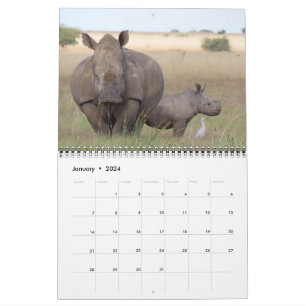 foxy.africa calendar