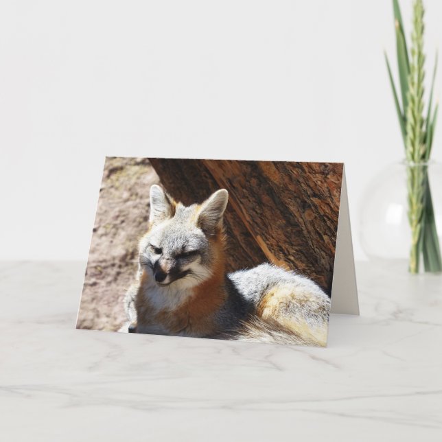 Foxy, Blank Greeting Card (Front)