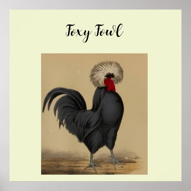 Foxy Fowl  Poster (Front)