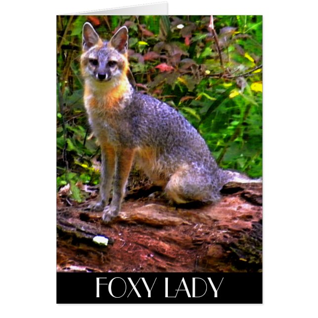 FOXY LADY (Front)