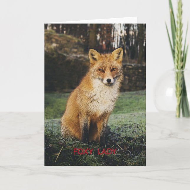 Foxy Lady Greeting Card (Front)