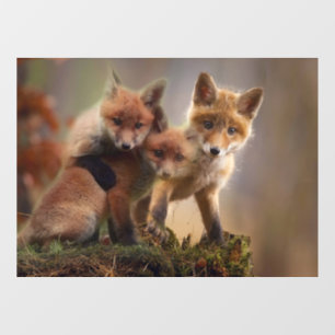 Foxy Triplets