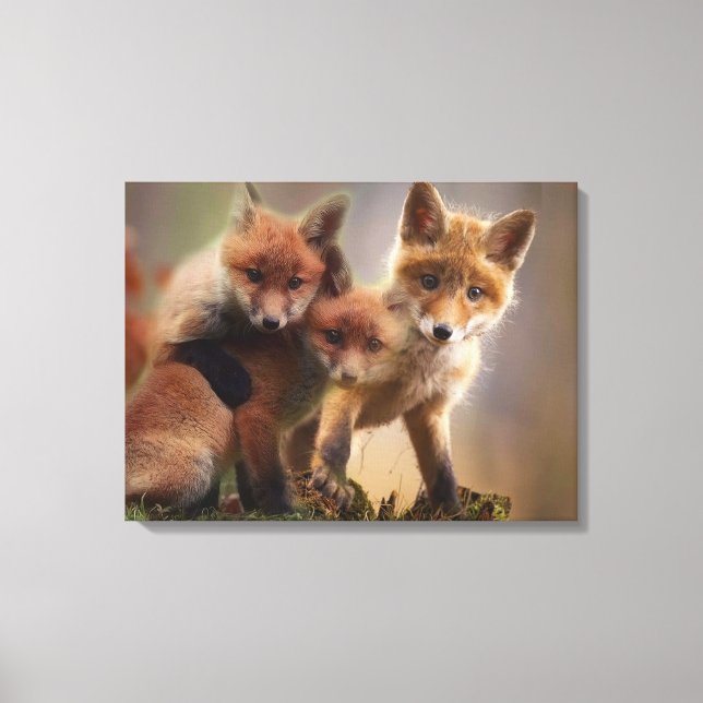 Foxy Triplets Canvas Print (Front)