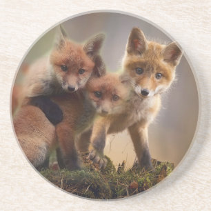 Foxy Triplets Coaster