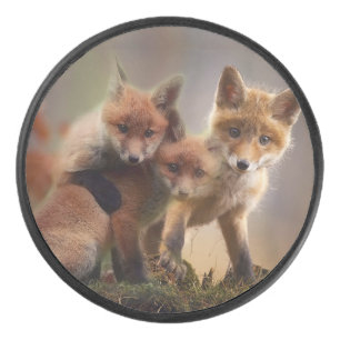 Foxy Triplets Hockey Puck