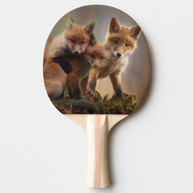 Foxy Triplets Ping Pong Paddle (Front)