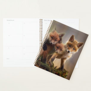 Foxy Triplets Planner