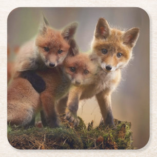 Foxy Triplets Square Paper Coaster