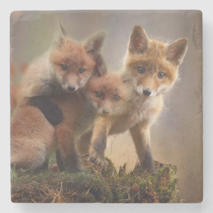 Foxy Triplets Stone Coaster