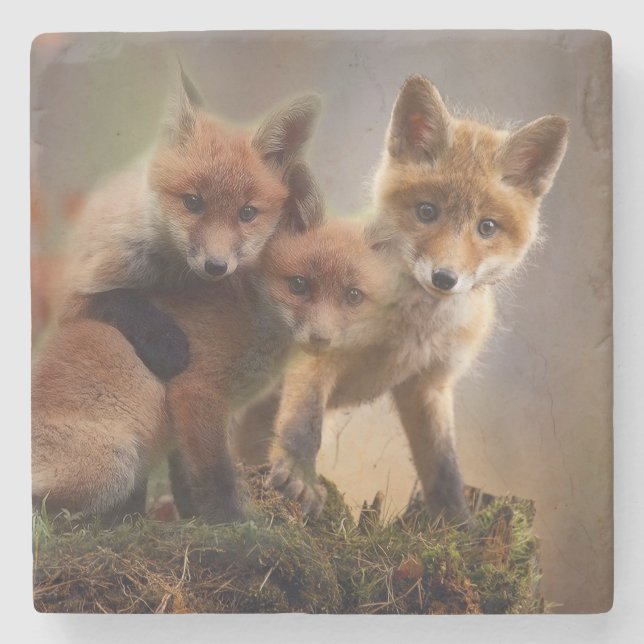 Foxy Triplets Stone Coaster (Front)