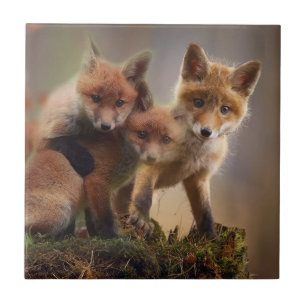 Foxy Triplets Tile