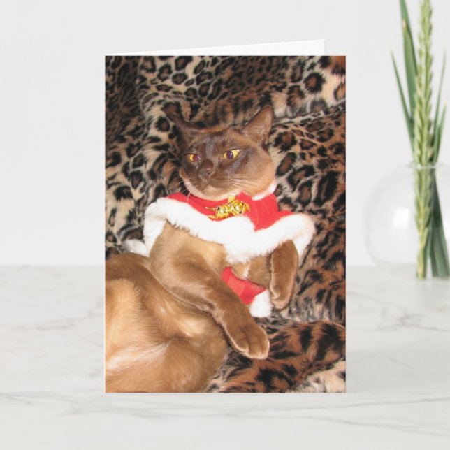 FPG Xmas Burmese 2 - Holiday Card (Front)