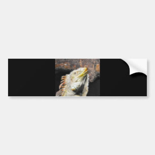 Fracguana Bumper Sticker