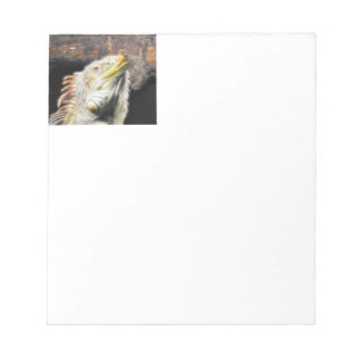 Fracguana Notepad