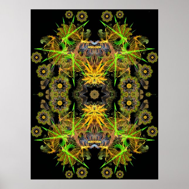 fracktalKan Poster (Front)