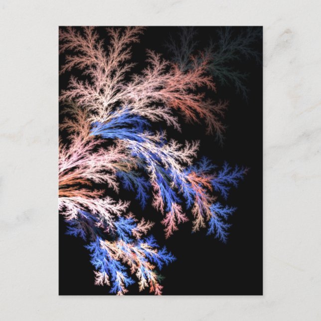 Fractal fern postcard (Front)