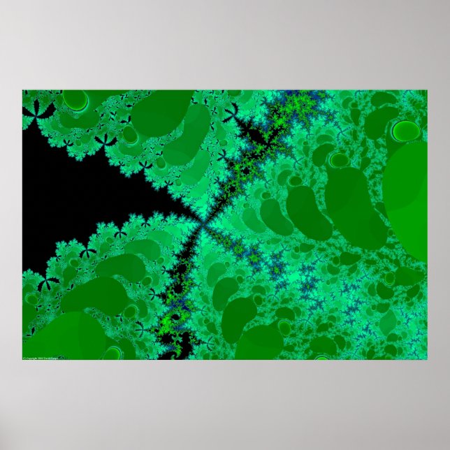 Fractal Flora Poster (Front)