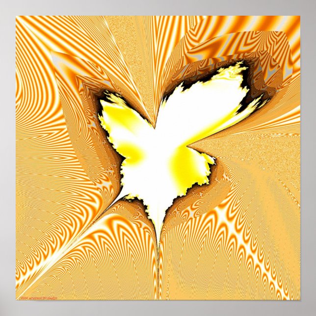 Fractal Projection 1.4g Poster (Front)