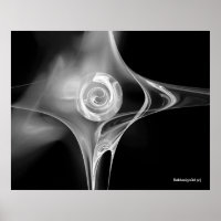 FRACTAL ROSE , black and white