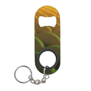 Fractal Scales Bottle Opener