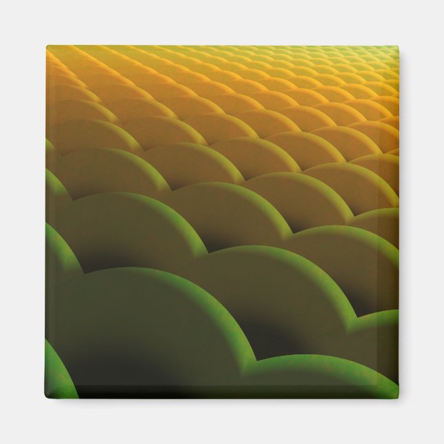 Fractal Scales Magnet (Front)