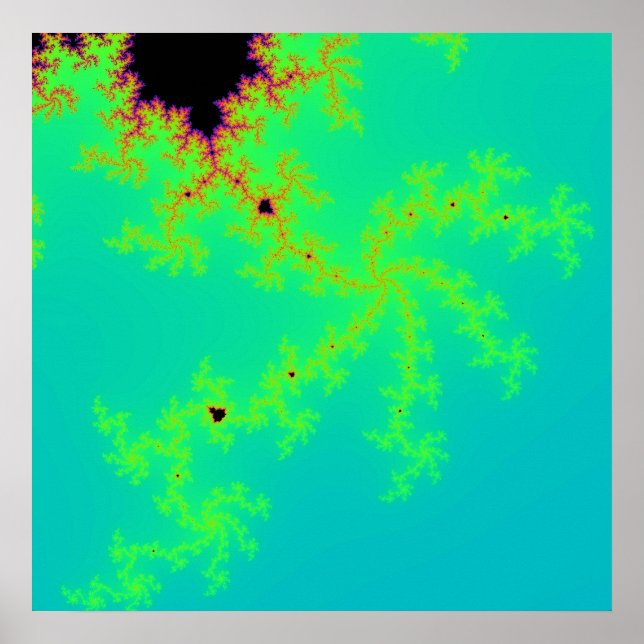 Fractal Wonder Poster (Front)