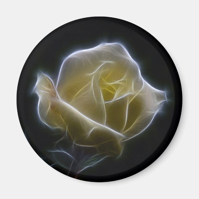 Fractalius Filter White Rose Magnet (Front)