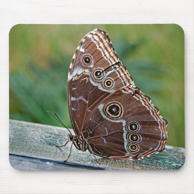 Fragile Beauty Mouse Pad (Front)