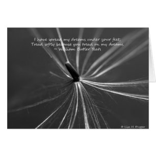 Fragile Dreams Underfoot