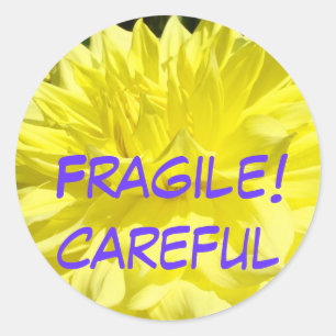 Fragile! stickers Careful stickers Moving Packing