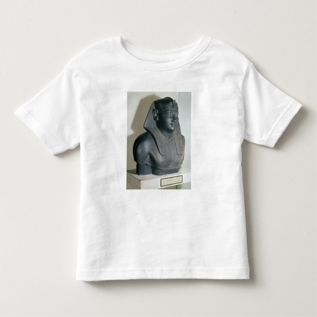 Fragment of an Egyptian style statue of Ptolemy I Toddler T-Shirt (Front)