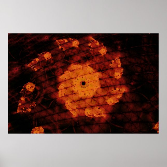 Fragrant Blossom Poster (Front)