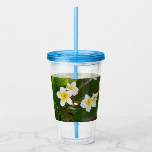  Fragrant Frangipani Flowers  Acrylic Tumbler