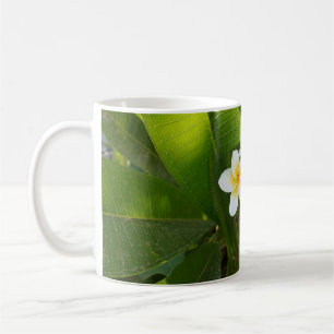 Fragrant Frangipani Flowers Coffee Mug