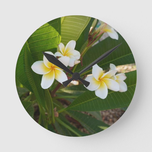  Fragrant Frangipani Flowers  Round Clock (Front)