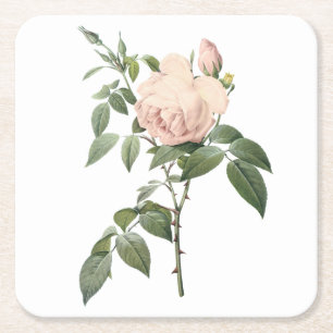 fragrant tea rose by Redouté Square Paper Coaster