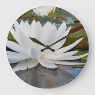 Fragrant Water Lily (Nymphaea Odorata) On Caddo Large Clock