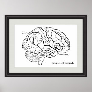 Frame of Mind Faux Frame Brain Diagram Science Poster