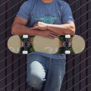 Frame Skateboard