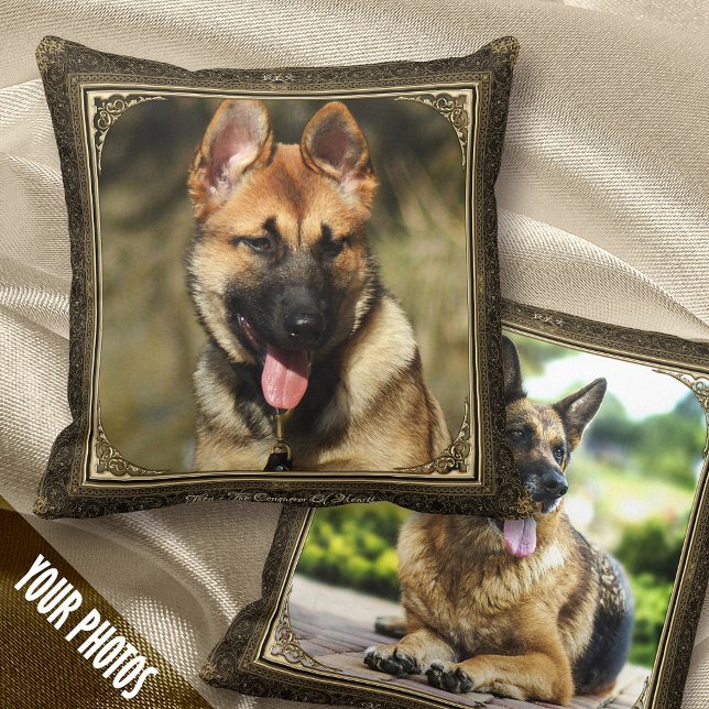 Framed 1+1 Pet Photo Keepsake, Gold/Brown Damask - Cushion (Creator Uploaded)