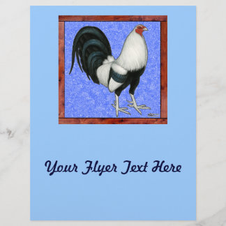 Framed Gamecock Flyer