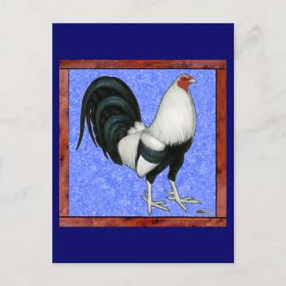 Framed Gamecock Postcard