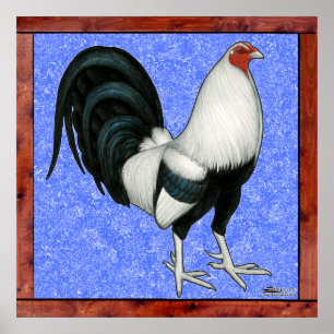 Framed Gamecock Poster