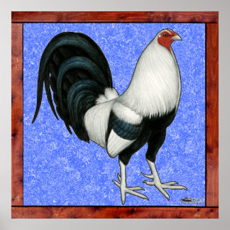 Framed Gamecock Poster