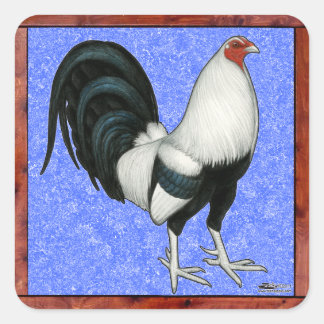 Framed Gamecock Square Sticker