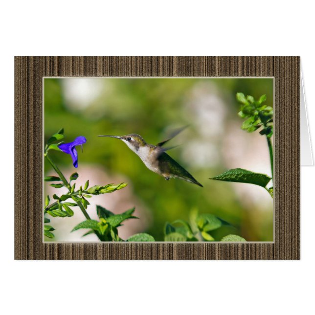 Framed Hummingbird (Front Horizontal)