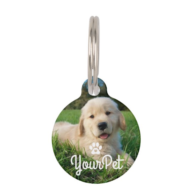 Framed Pet Photo Paw Heart ID Tag (Front)