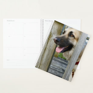 Framed Planner