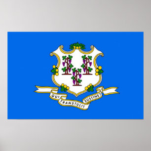 Framed print with Flag of Connecticut , U.S.A.